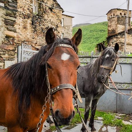 Bori'S Guesthouse Ušguli Exteriér fotografie