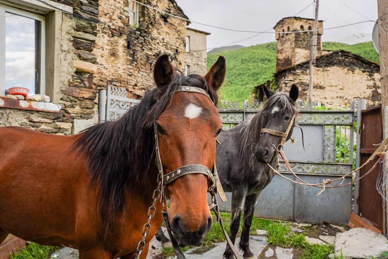 Bori'S Guesthouse Ušguli Exteriér fotografie